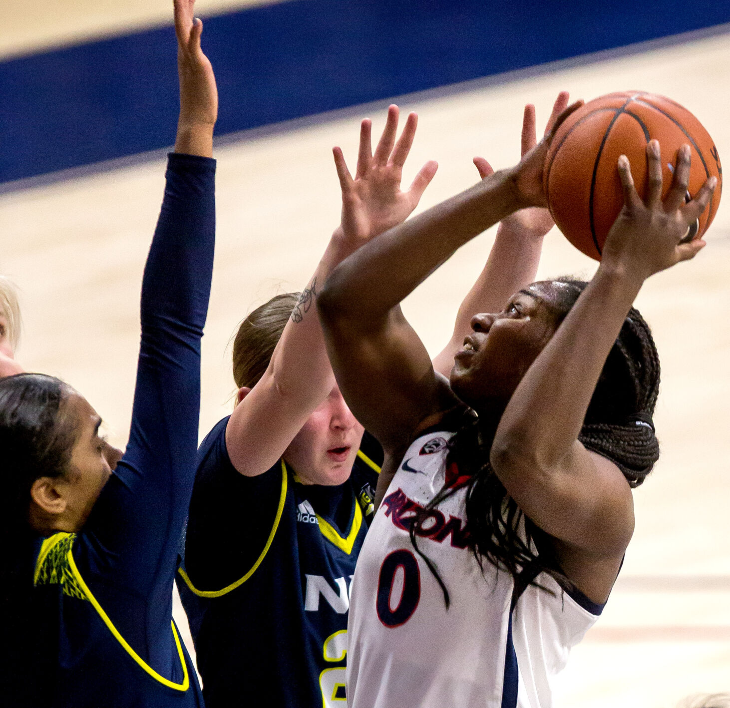Arizona Wildcats women's basketball vs. NAU